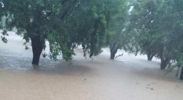 Ο Δήμος Ρήγα Φεραίου σε συνεχή επικοινωνία με τον ΕΛΓΑ για τις καταστροφές των καλλιεργειών στις πληγείσες περιοχές του Δήμου
